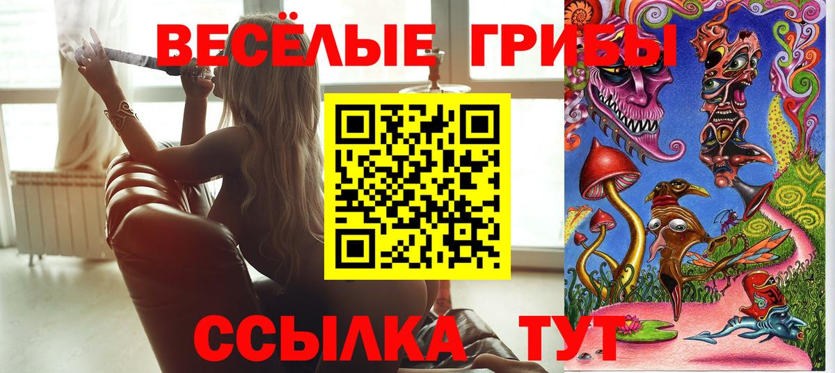 Галлюциногенные грибы Cubensis  Вход с VPN  Азнакаево  Галлюциногенные грибы Cubensis 