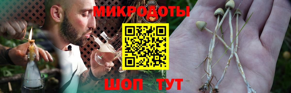 Галлюциногенные грибы MAGIC MUSHROOMS Азнакаево